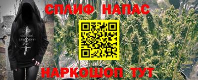 PSILOCYBIN Рыбинск