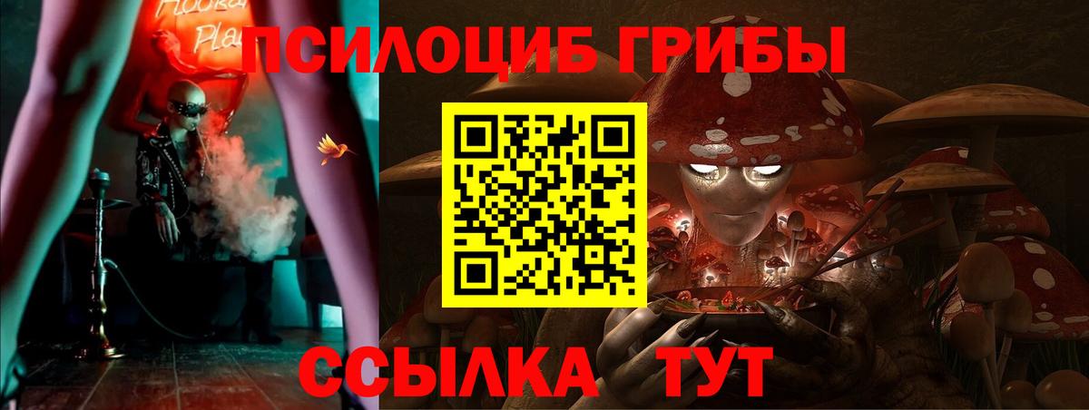 Острогожск  Псилоцибиновые грибы мухоморы  Вход с VPN 