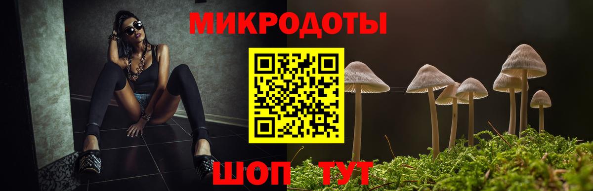 Псилоцибиновые грибы GOLDEN TEACHER Острогожск