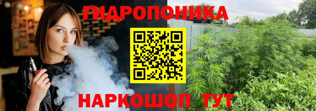 Острогожск  Бошки марихуана White Widow  Марихуана гибрид  Марихуана MAZAR  Бошки Шишки VHQ  Вход с VPN 
